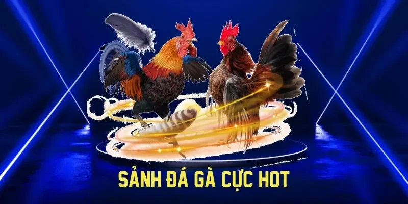 Giới thiệu sảnh Đá gà Luck8